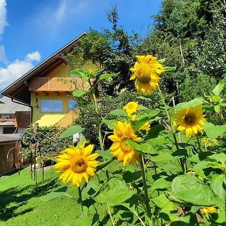 Apartment Murka Begunje na Gorenjskem Bagian luar foto