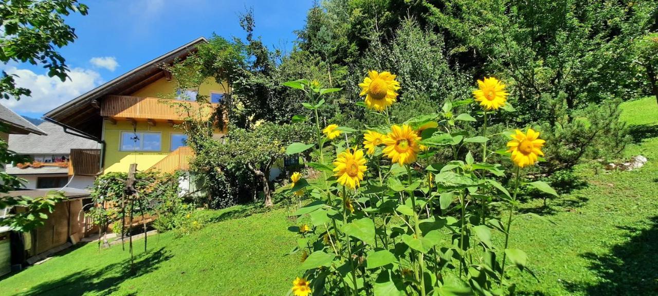 Apartment Murka Begunje na Gorenjskem Bagian luar foto